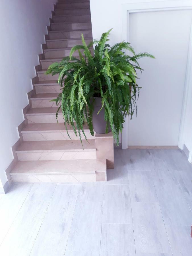 Apartmani I Soba Andrijasevic Makarska Exterior photo